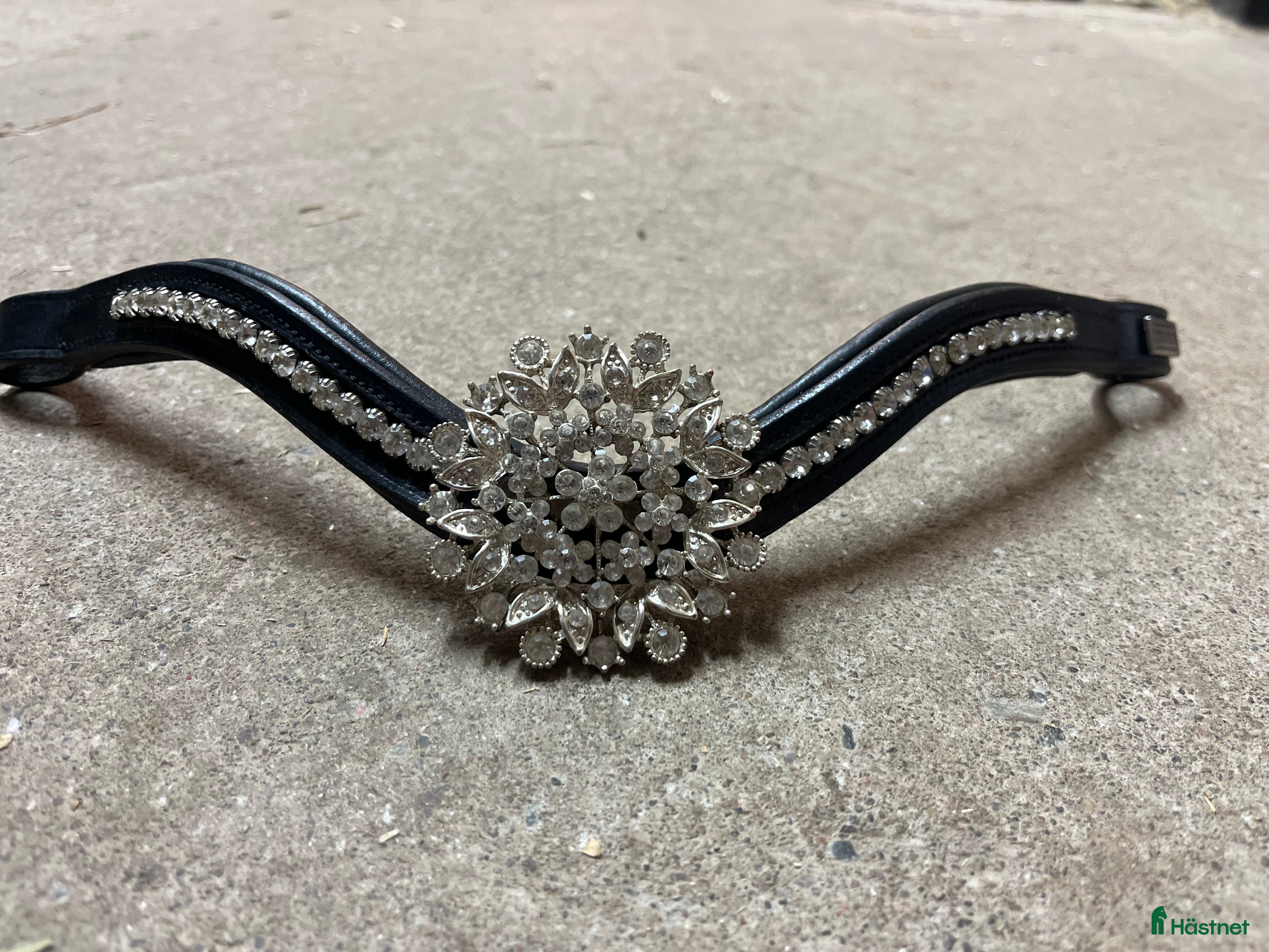 Träns hästutrustning Divoyh pannband  i Örebro - Annons 1