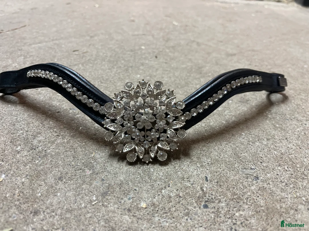 Träns hästutrustning till salu: Divoyh pannband  i Örebro - Annons 1