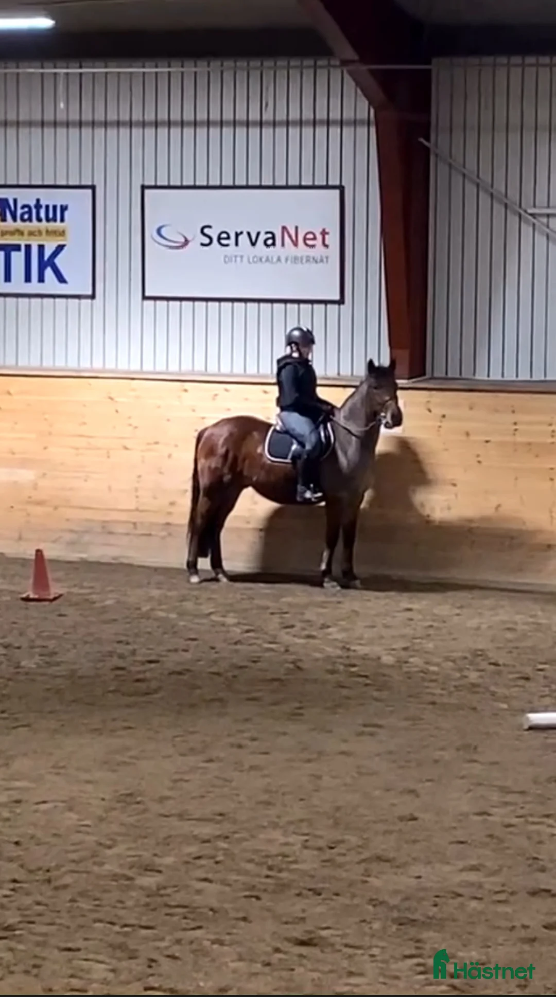 Allround hästar sökes: !Medryttarhäst sökes! i Sundsvall - Annons 2