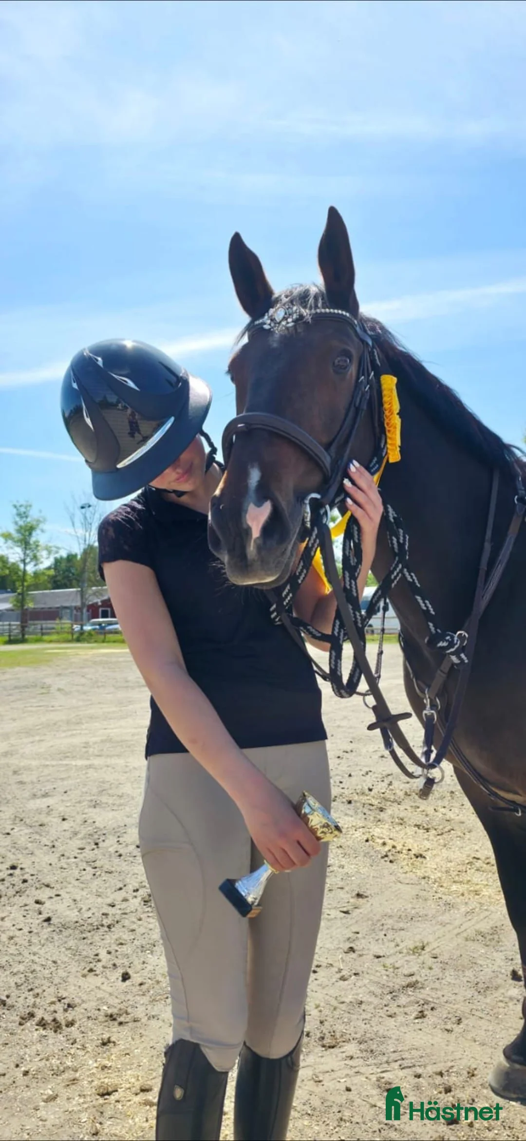 Hoppning hästar till salu: Lovande D-ponny med hjärta och potential 🌟❤️  - Annons 2