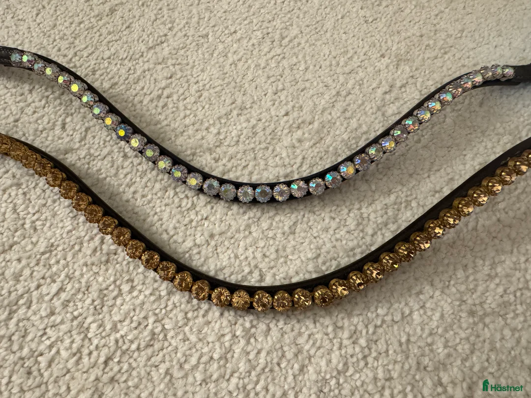 Träns hästutrustning till salu: Superfina pannband✨ i Gävle - Annons 5