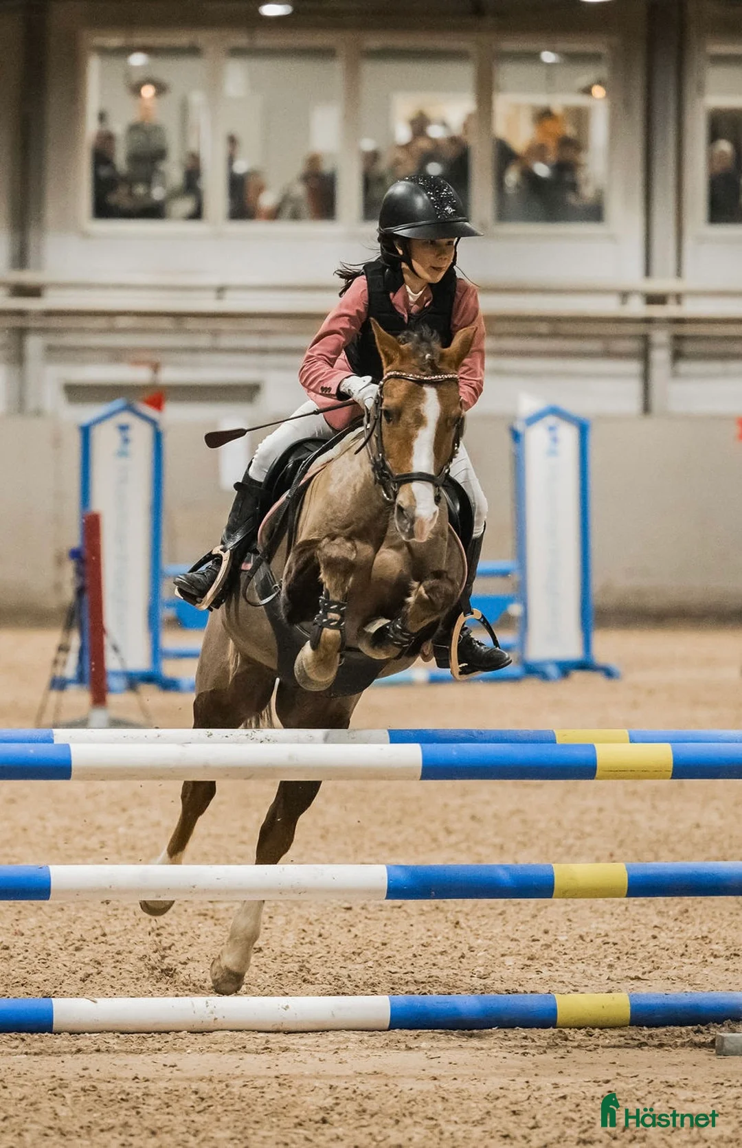 Allround hästar till salu: Fantastiskt fin läromästare B-ponny  i Luleå - Annons 1