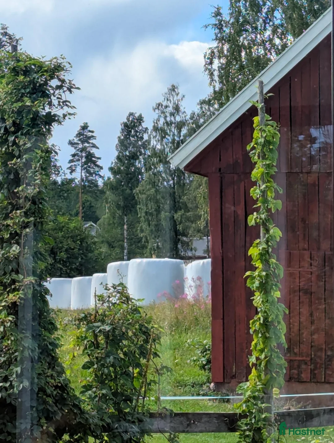  stallplats finnes: Stallplats i Nybro  - Annons 1