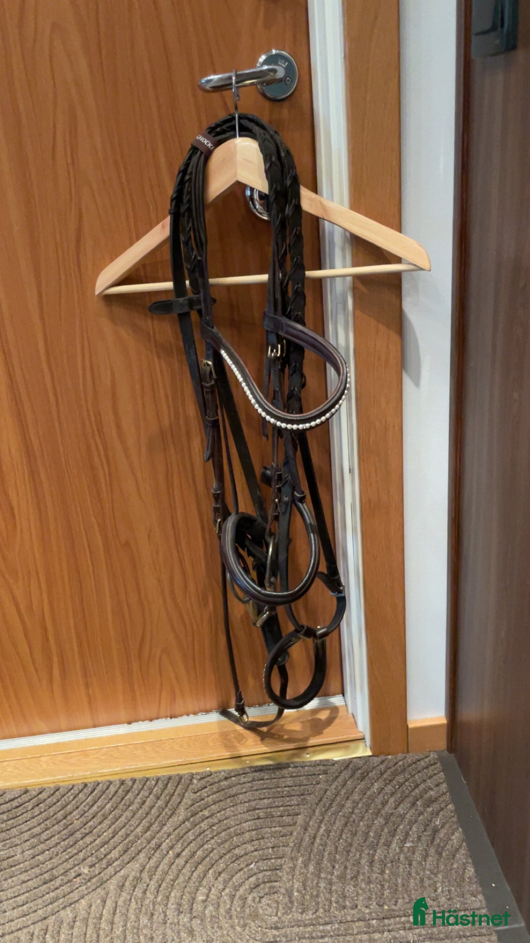 Träns hästutrustning till salu: schockemöhle träns i Uppsala - Annons 1