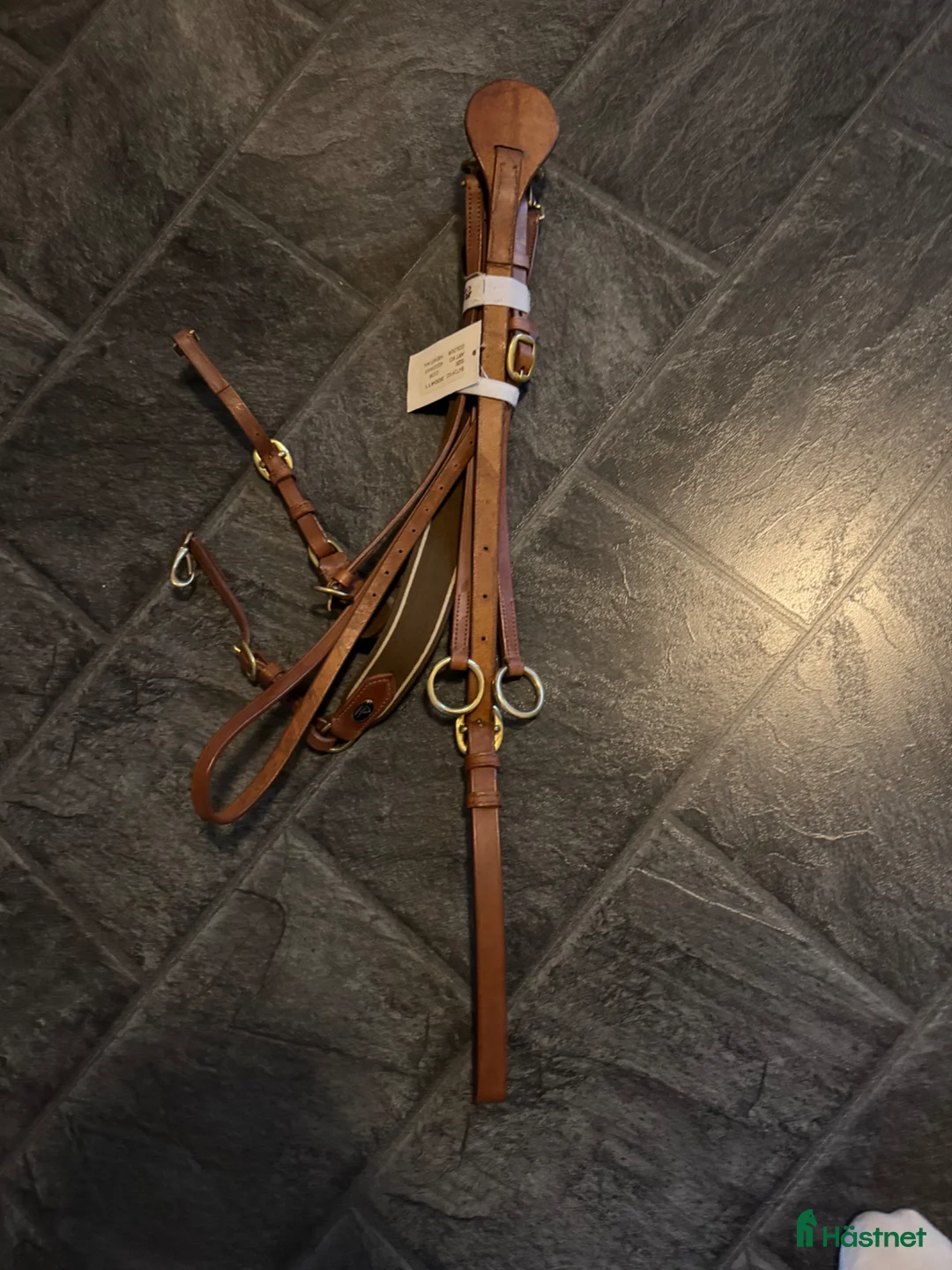 Övrig Hästutrustning hästutrustning till salu: Riders company förbygel- martingal - Annons 1