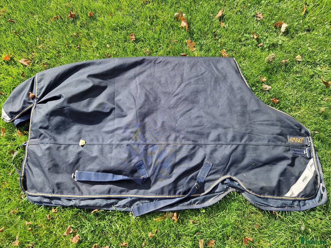 Täcken hästutrustning till salu: HW Amigo XL i Södra Sandby - Annons 2