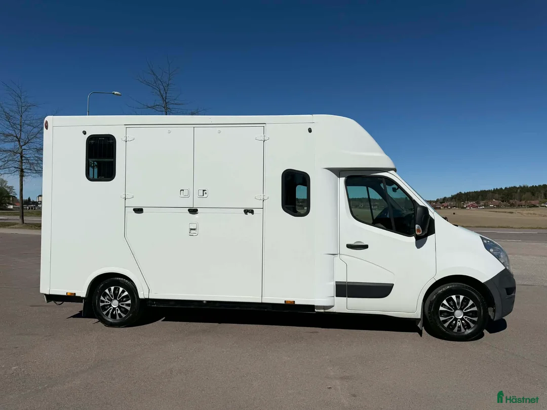 Hästlastbilar  fordon & transport till salu: THEAULT PROTEO 5 SÄTEN LÅG SKATT  - Annons 2