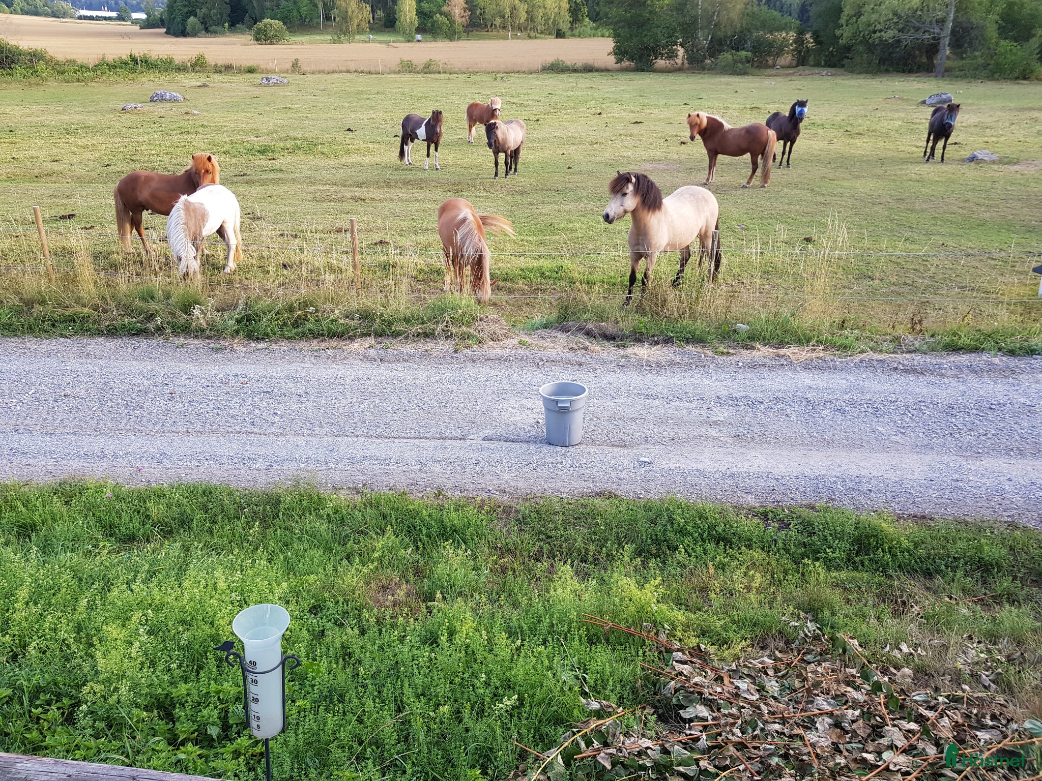  stallplats Lösdriftsplatser - Annons 1