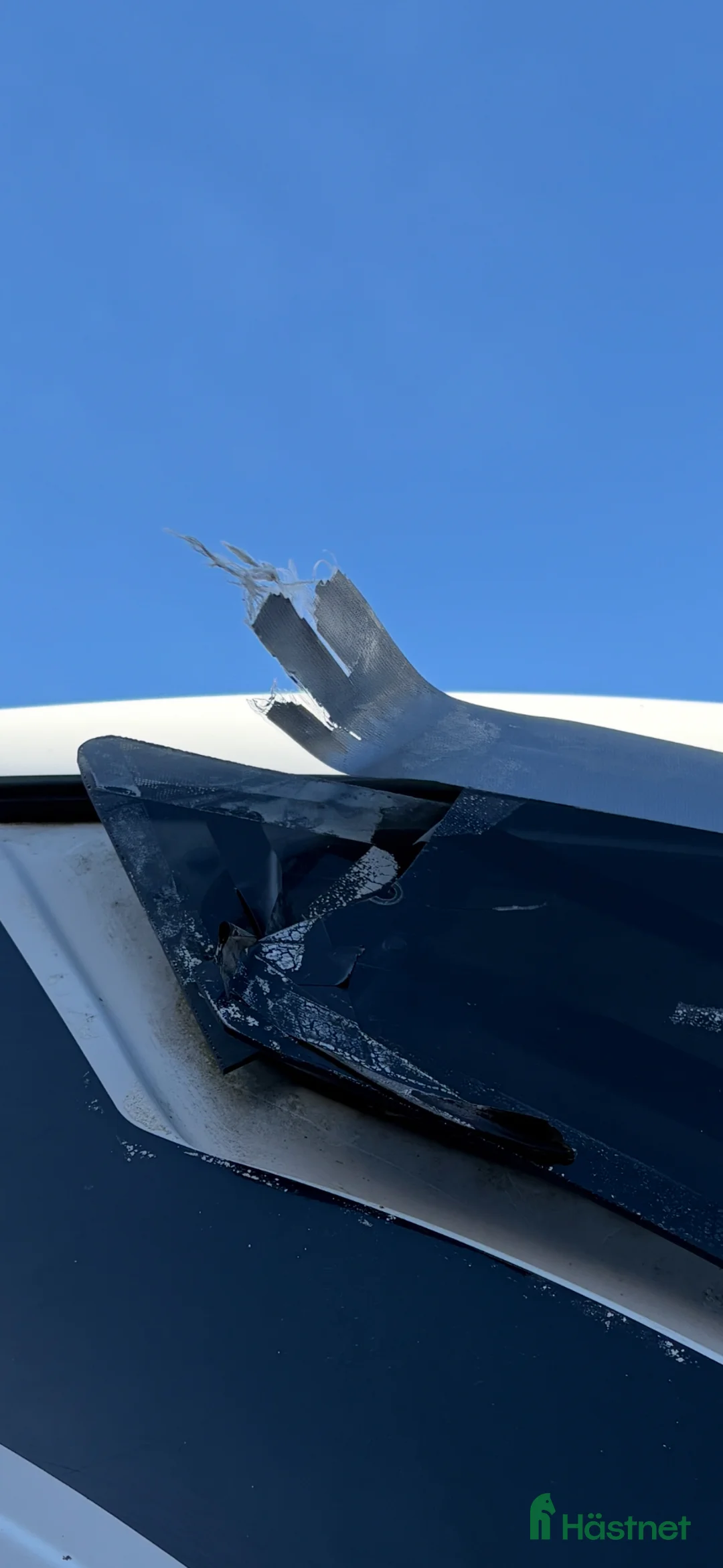 Hästtransporter  fordon & transport till salu: Hästsläp ATEC  i Åled - Annons 6