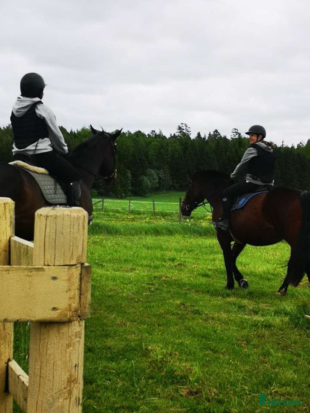  medryttarhäst finnes: Medryttarhäst sökes! i Sala - Annons 2