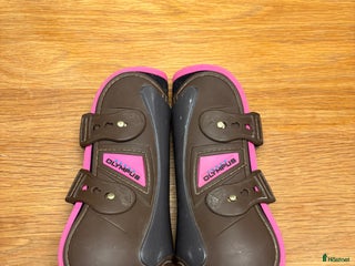 Benskydd hästutrustning till salu: Veredus fram+bak color edition rosa i Enebyberg - Annons 1