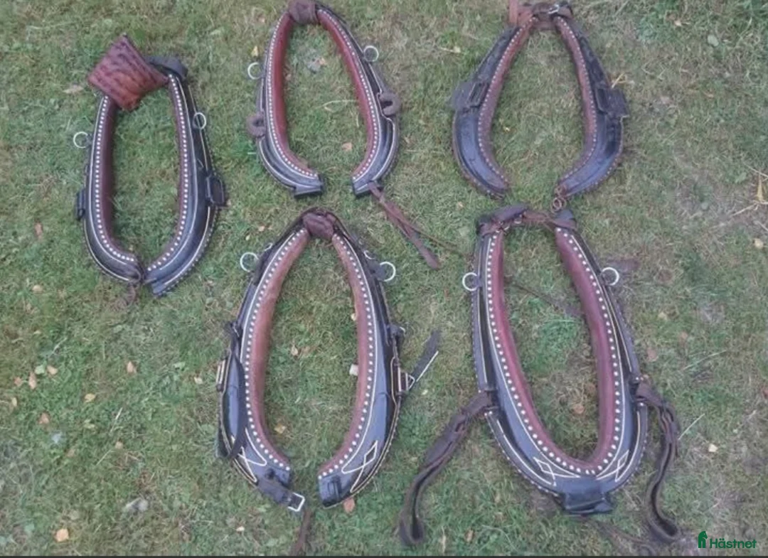 Körselar körning till salu: Fin loksele  - Annons 3