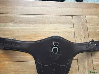 Sadeltillbehör hästutrustning till salu: Fin magplatta från Kentucky! - Annons 2