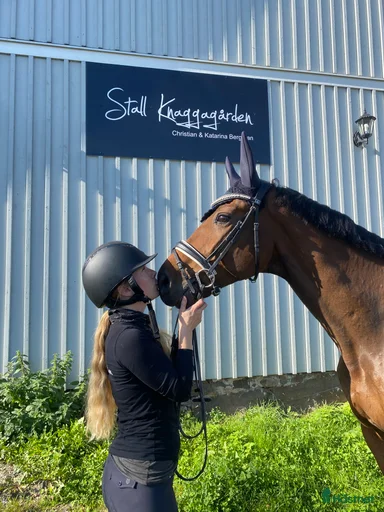 Galleribild {{count}}