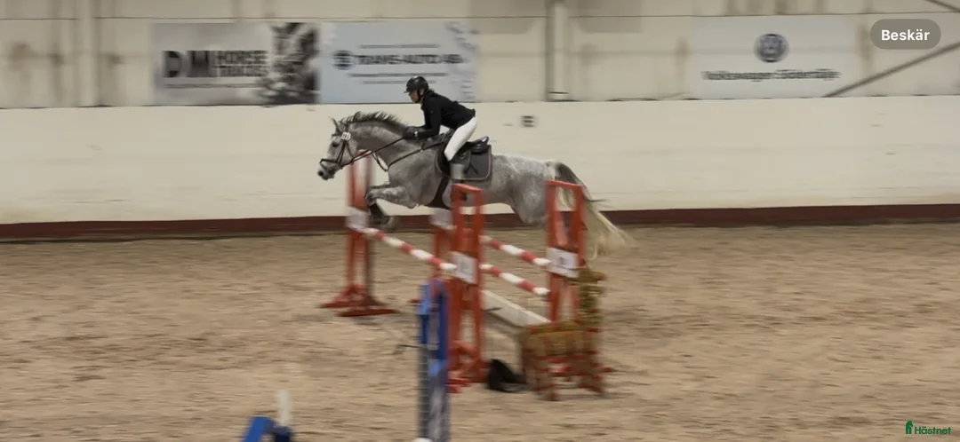 Galleribild {{count}}