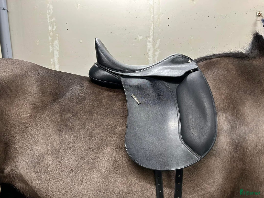 Sadlar hästutrustning till salu: Fin wintec sadel i Forsheda - Annons 1