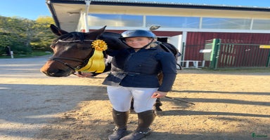  hästar i Våxtorp - Annons 2