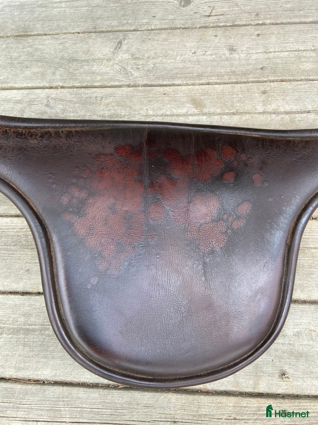 Sadeltillbehör hästutrustning till salu: Equiline magplatta i Vaxholm - Annons 3