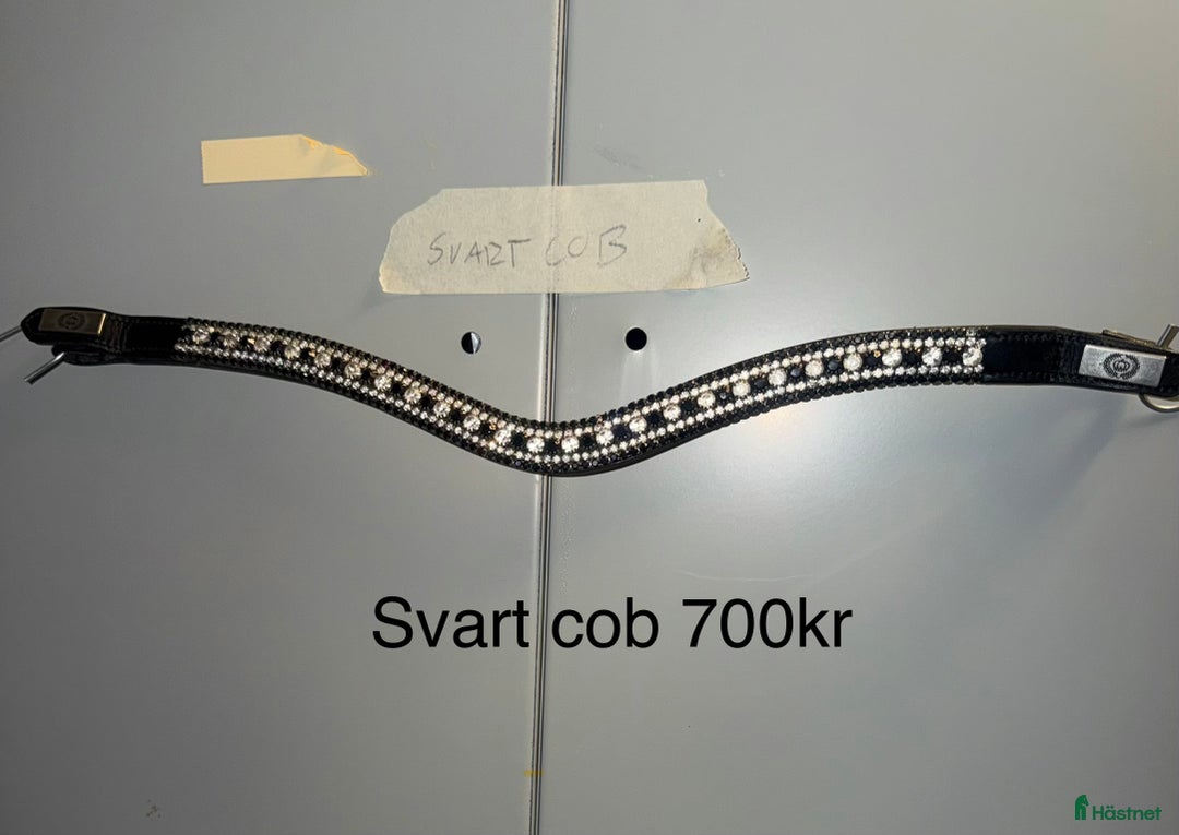 Träns hästutrustning till salu: Ps pannband i Färgelanda - Annons 7