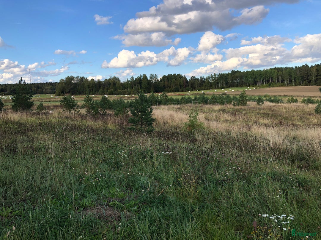  stallplats finnes: Plats i lösdrift i Vittinge - Annons 6