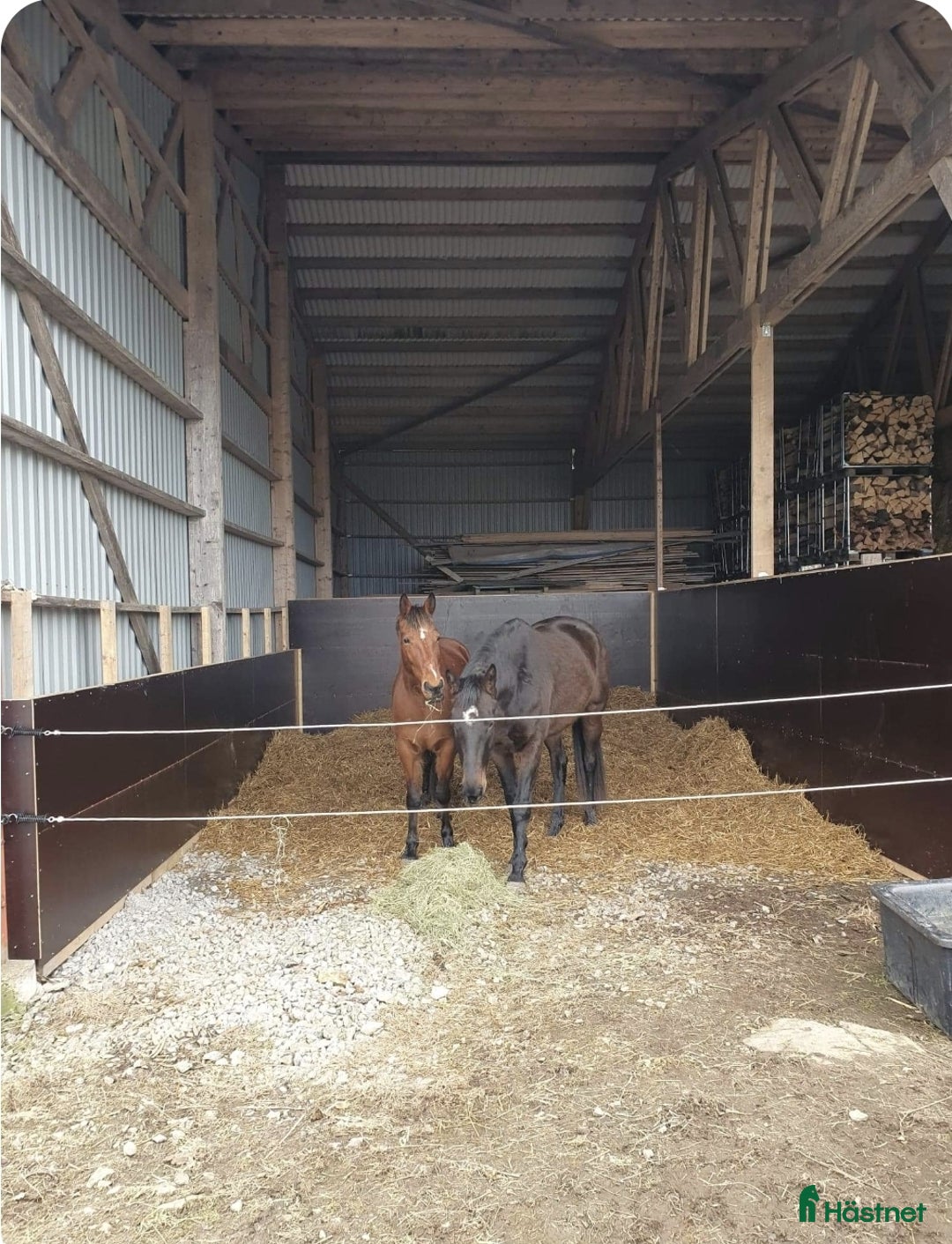  stallplats finnes: Lösdrift med full service i Ulricehamn - Annons 2