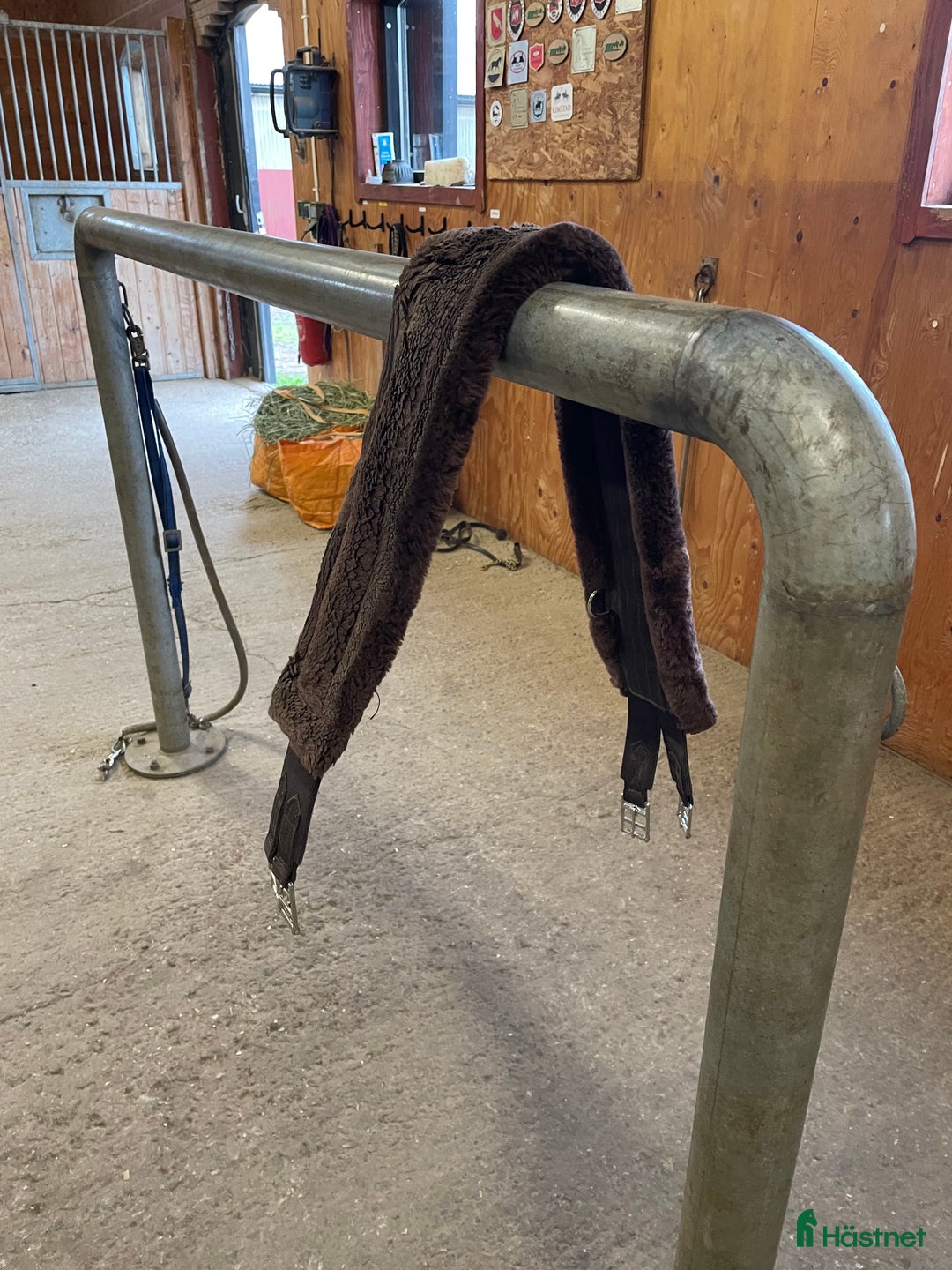 Sadeltillbehör hästutrustning till salu: Kentucky magplatta + sadelgjord 125cm - Annons 4