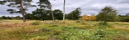  stallplats finnes: Lösdrift - Annons 8