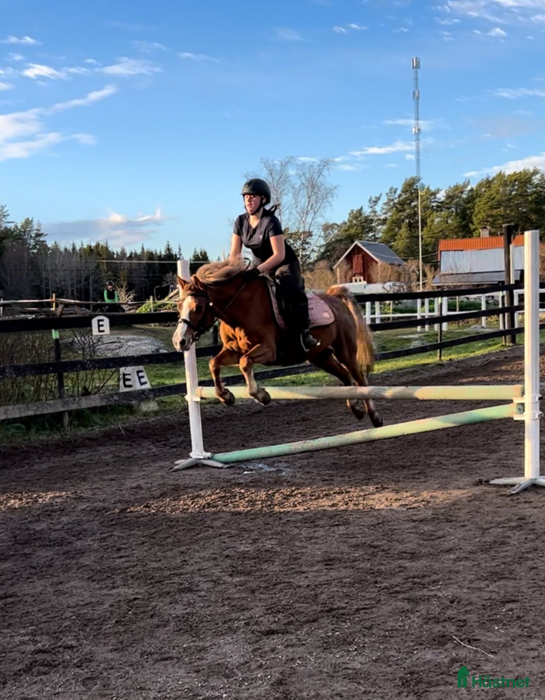  medryttarhäst finnes: Söker medryttarhäst i Åkersberga - Annons 1