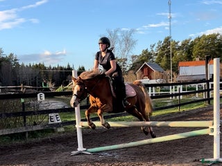 medryttarhäst finnes: Söker medryttarhäst i Åkersberga - Annons 1