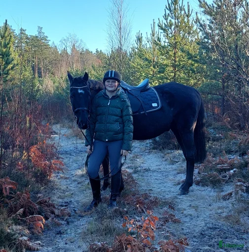 Galleribild {{count}}