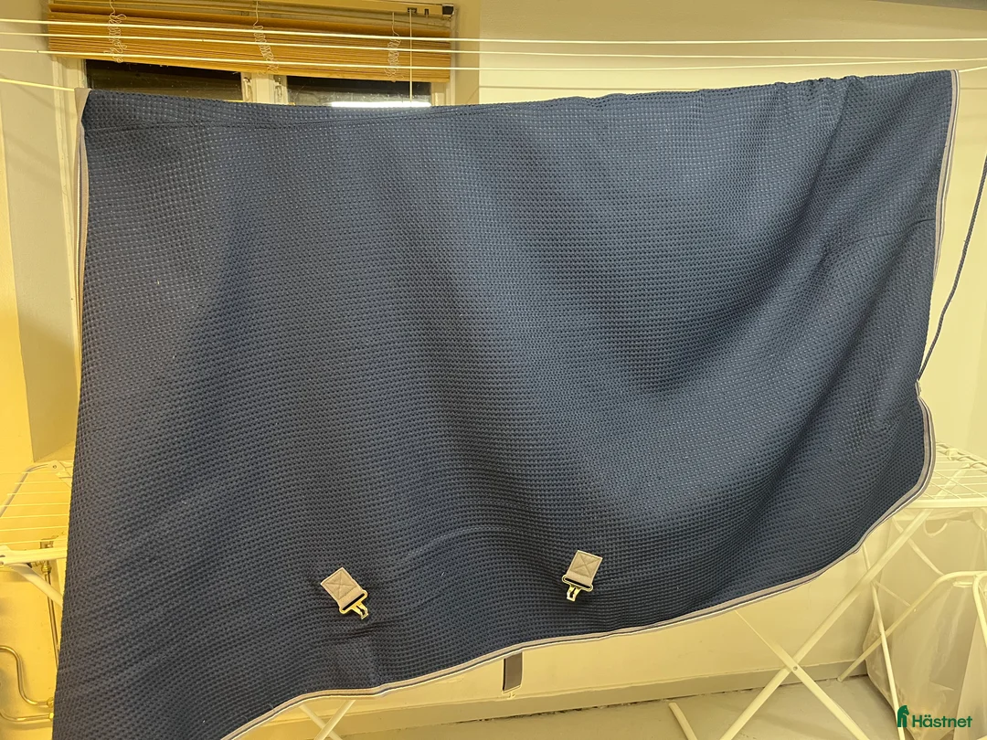 Täcken hästutrustning till salu: Rambo täcke för transport/ svettäcke/stalltäcke i Vollsjö - Annons 1