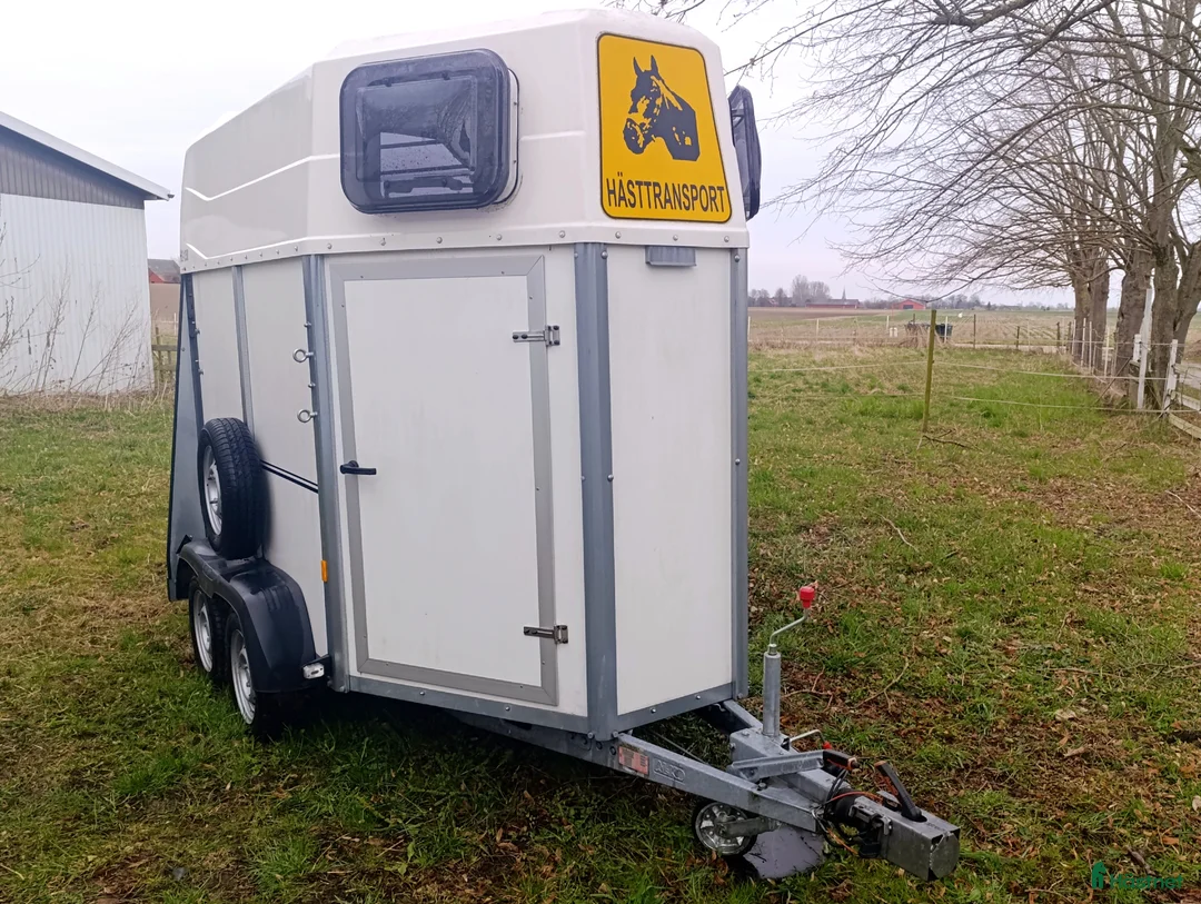 Hästtransporter  fordon & transport till salu: Fräsch transport 2020 - Annons 2