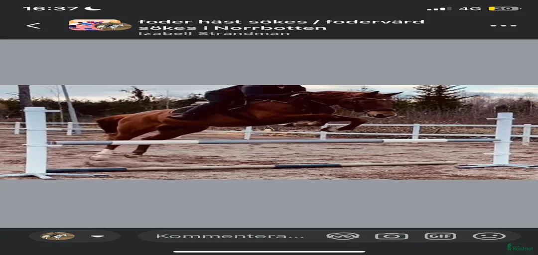 Galleribild {{count}}