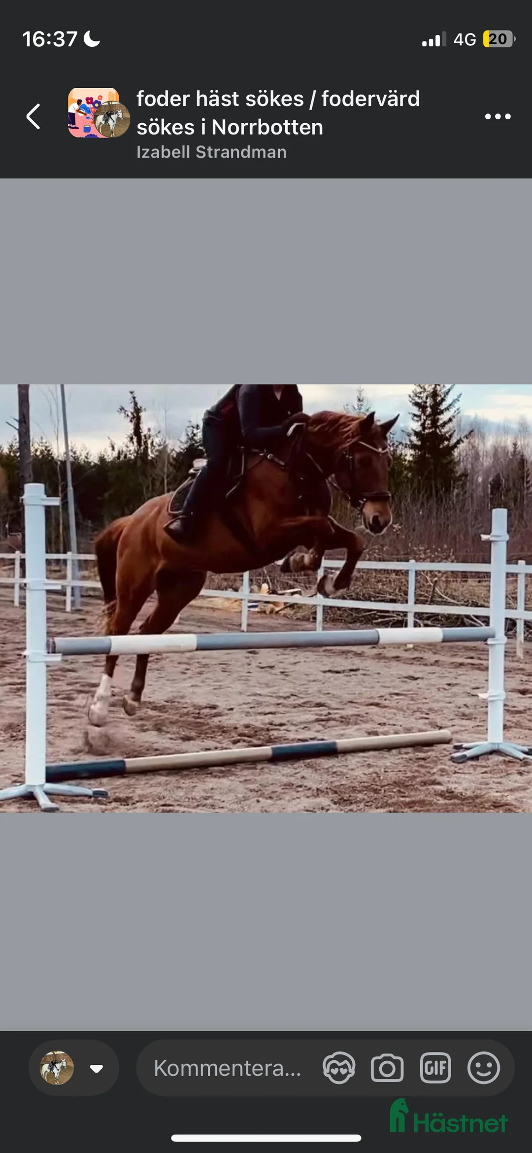 Galleribild {{count}}