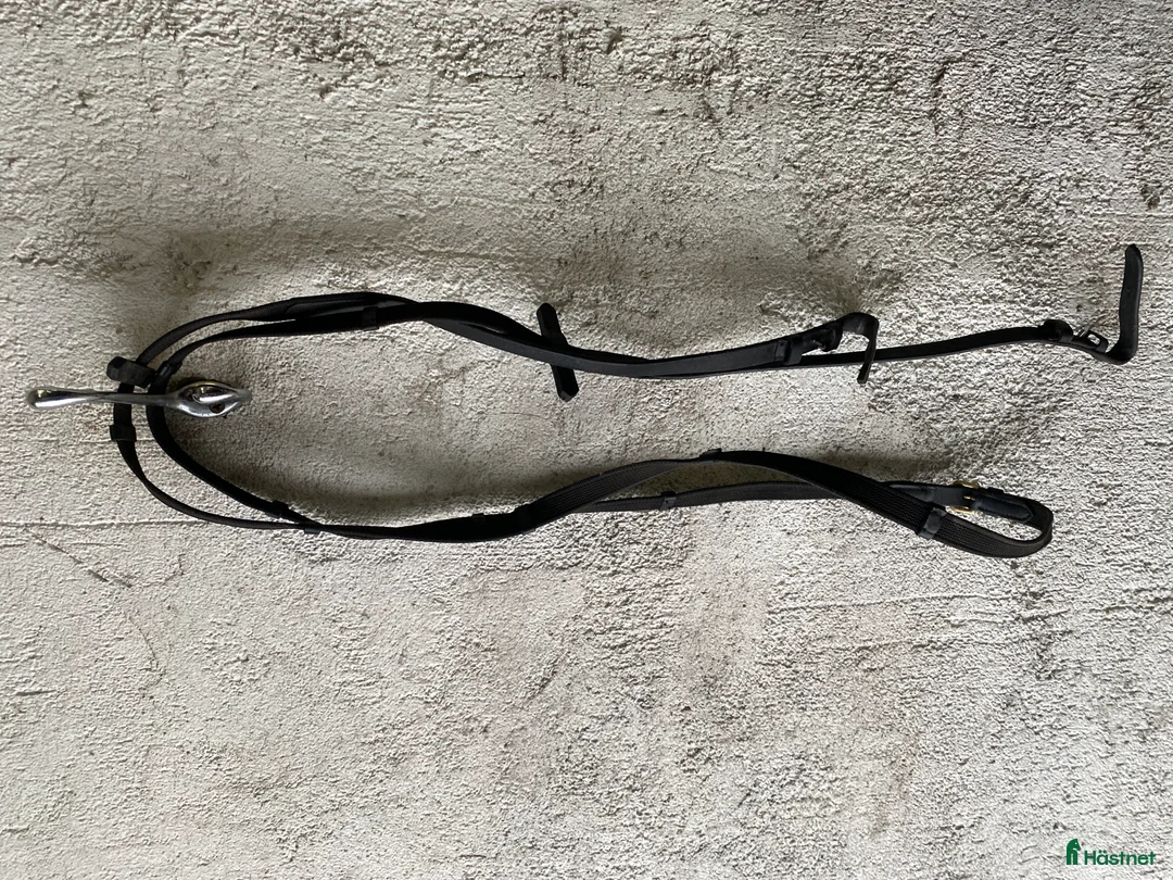 Träns hästutrustning till salu: Träns och kandar - Annons 3