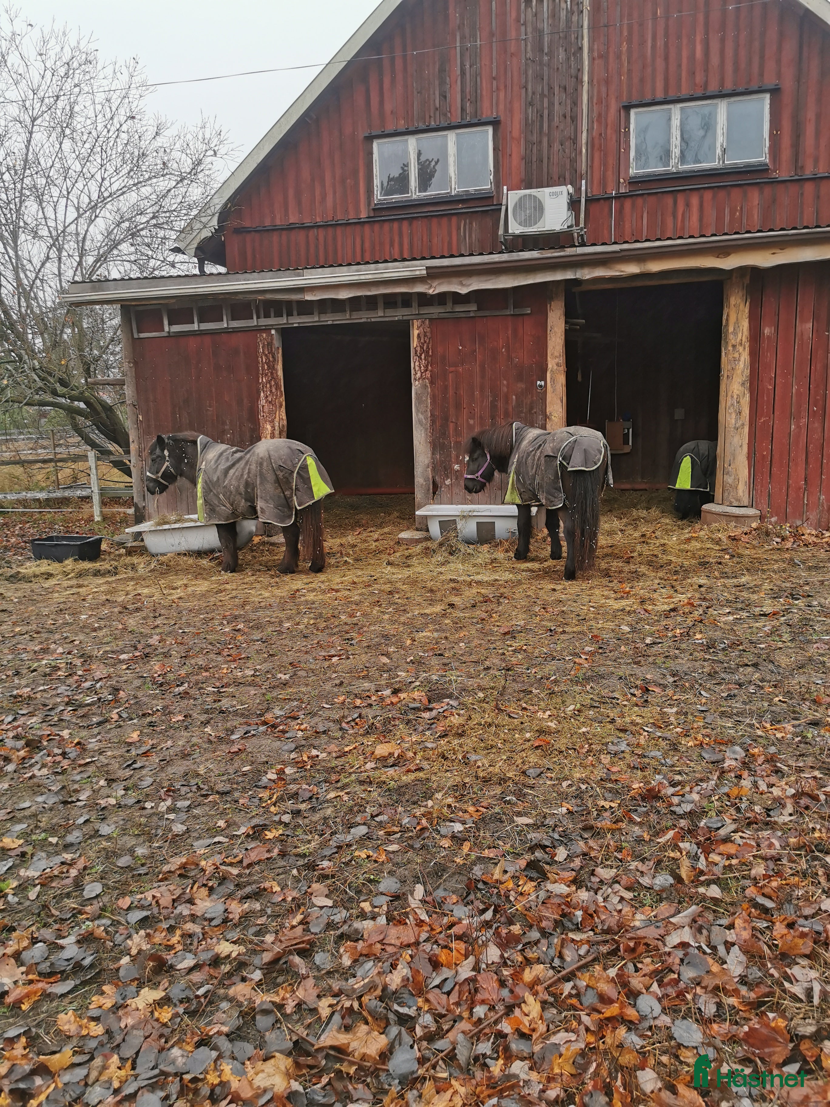  stallplats finnes: Stallplats i centrala Tungelsta  i Tungelsta - Annons 2