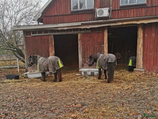 stallplats finnes: Stallplats i centrala Tungelsta i Tungelsta - Annons 2
