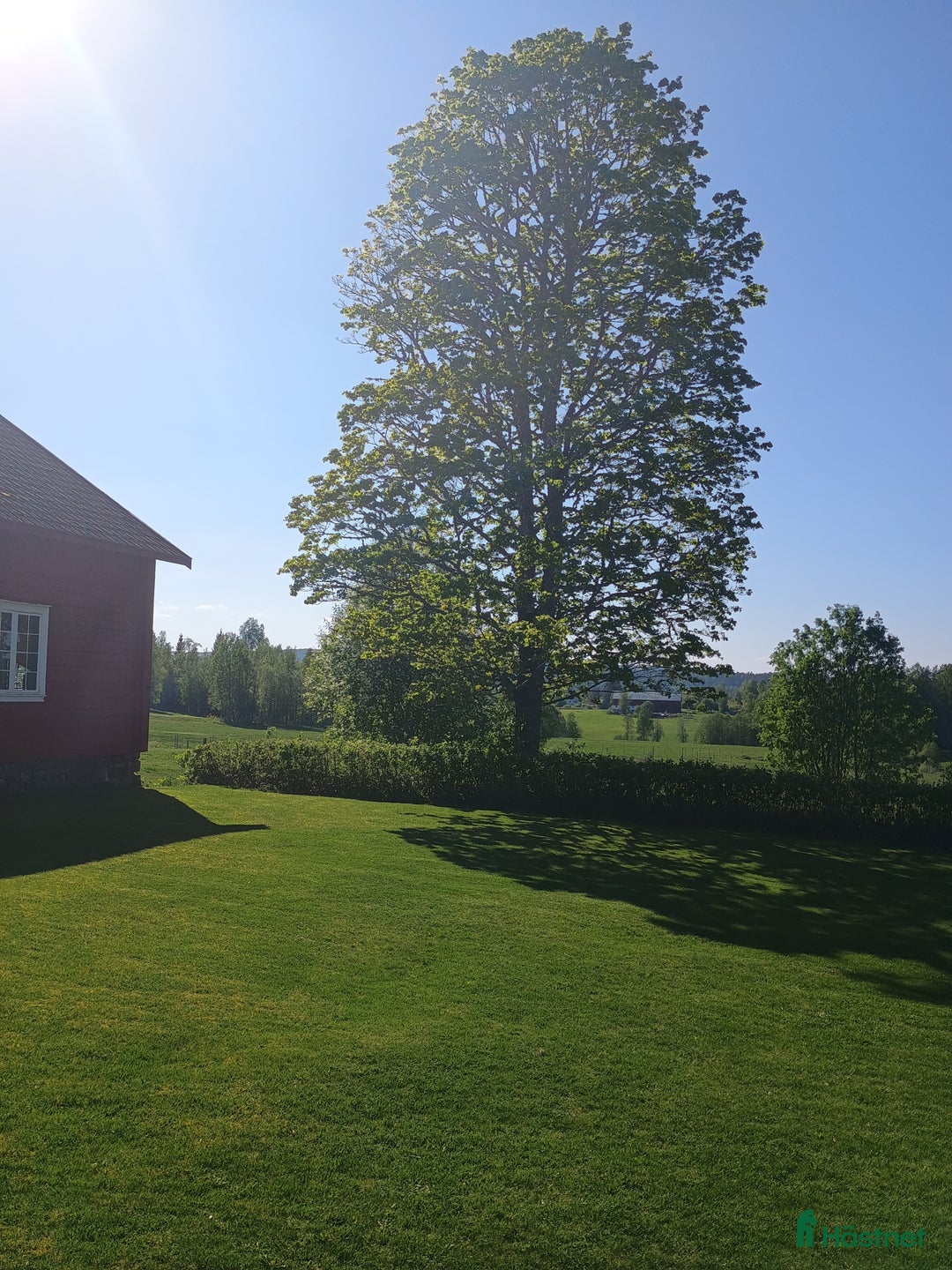  hästgårdar till salu: Gård med vackert utsikt över hagen  i Åmotfors - Annons 9