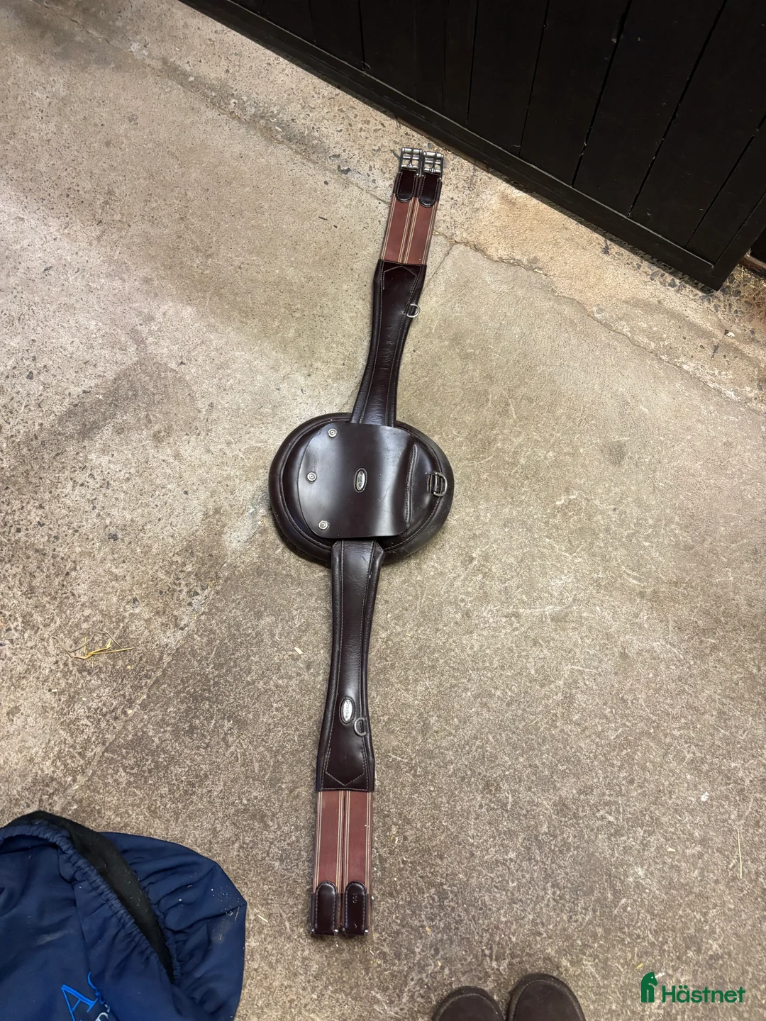 Sadlar hästutrustning till salu: Prestige sadel och sadelgjord  - Annons 2