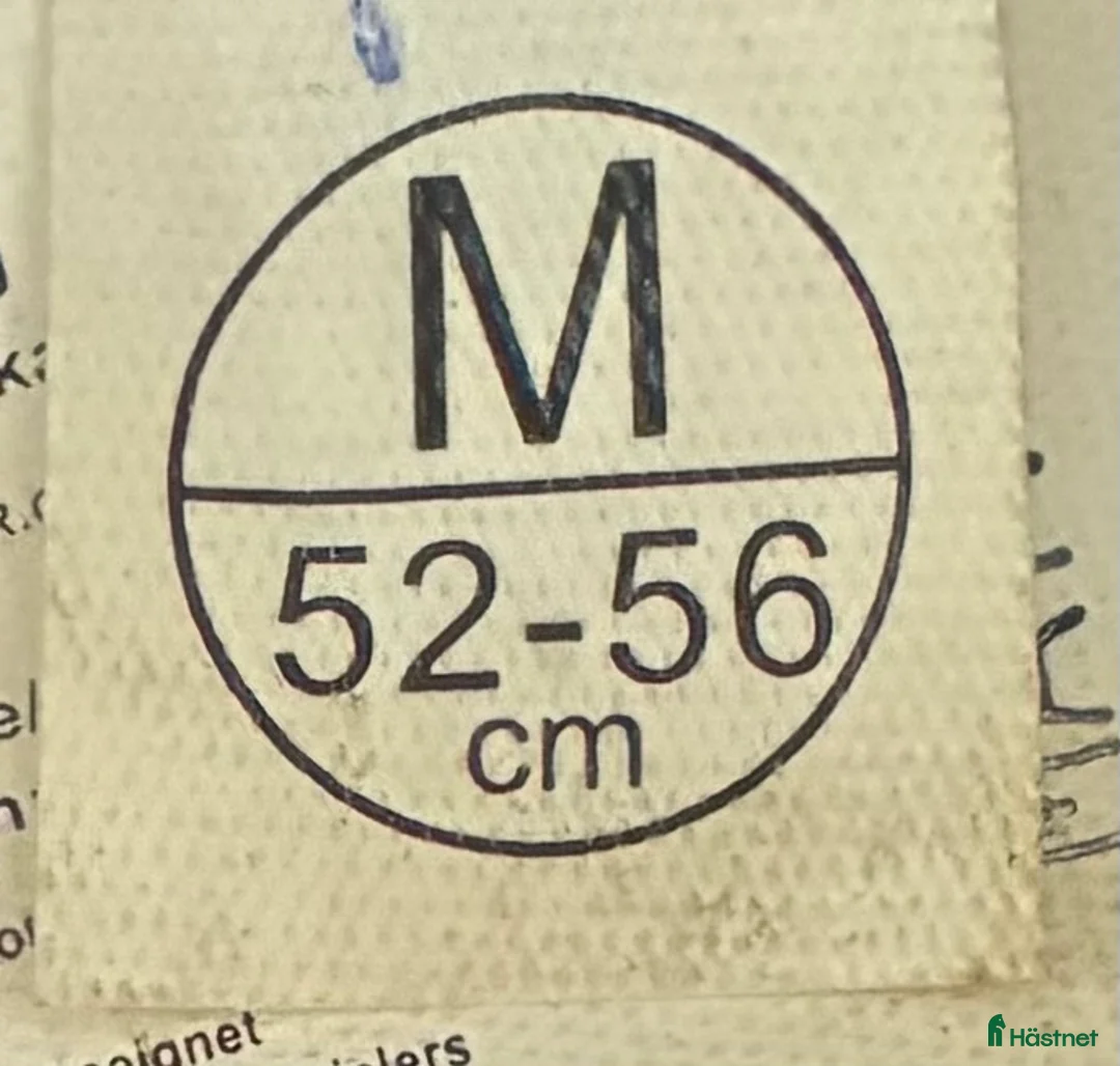 Hjälmar ryttarutrustning till salu: Fin Lami-cell Athena svart  i Skutskär - Annons 6