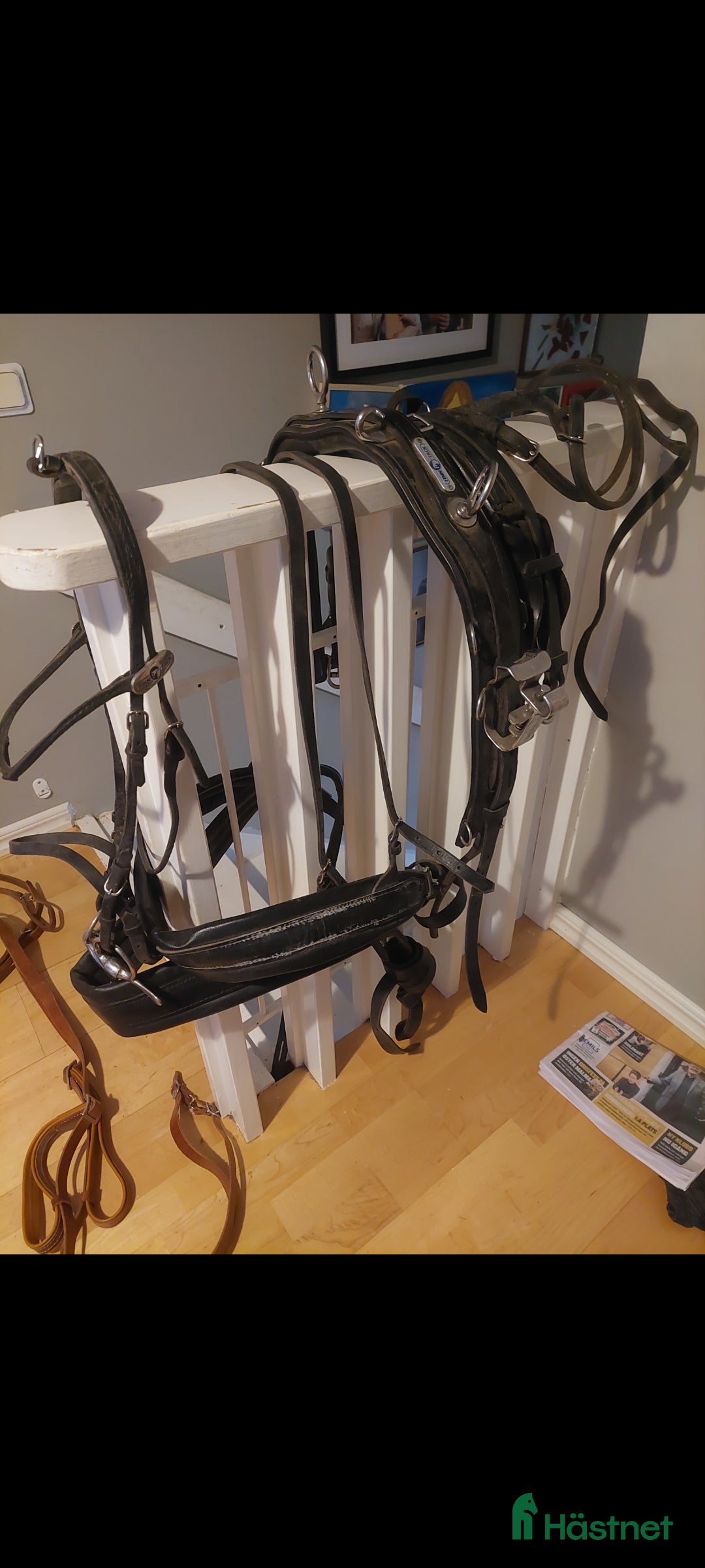 Travselar trav till salu: Travsele Finn Tack med QH fästen storlek full i Gnesta - Annons 6