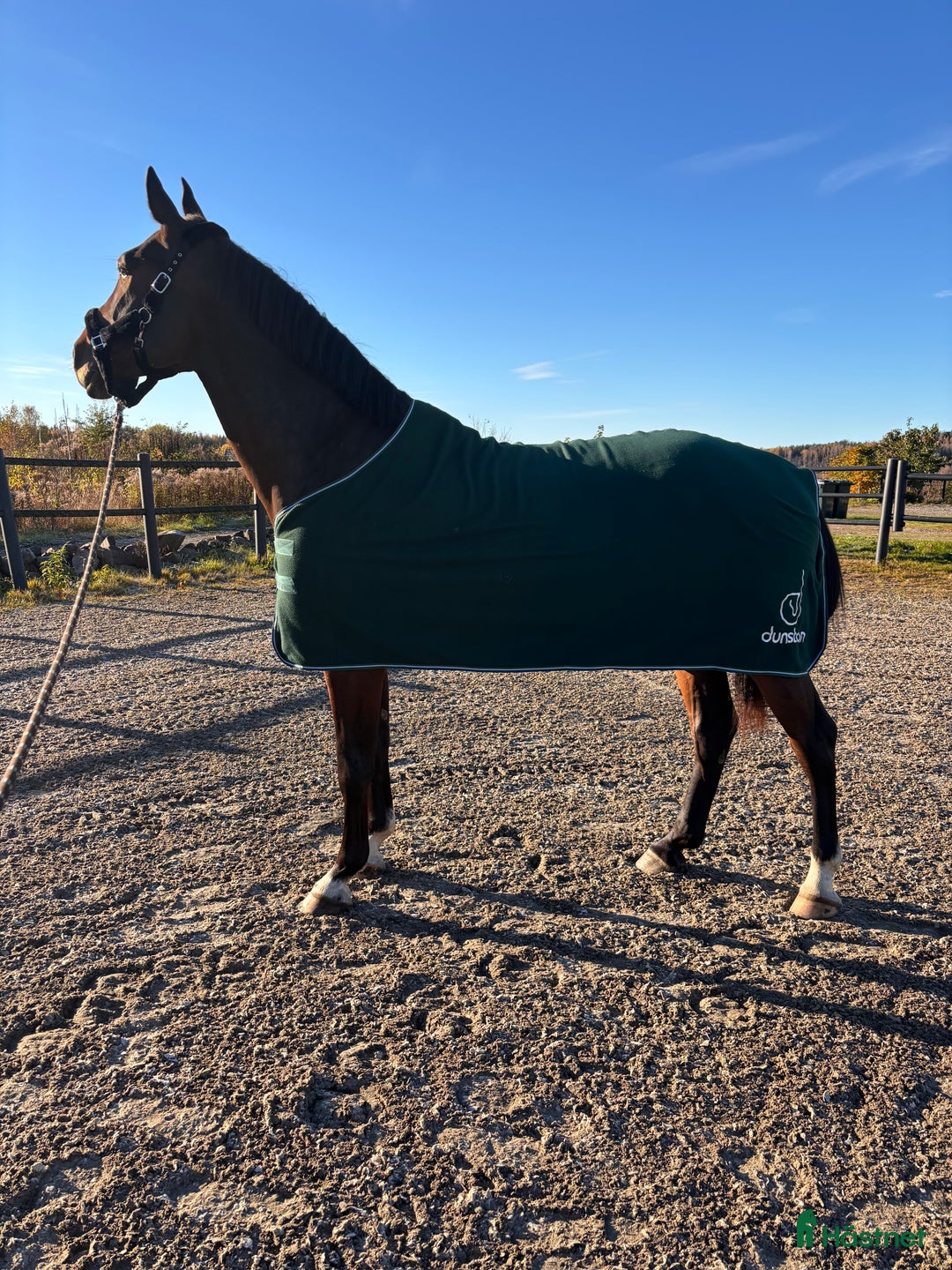 Täcken hästutrustning till salu: Fleecetäcke 155 i Skattkärr - Annons 1