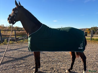 Täcken hästutrustning till salu: Fleecetäcke 155 i Skattkärr - Annons 2