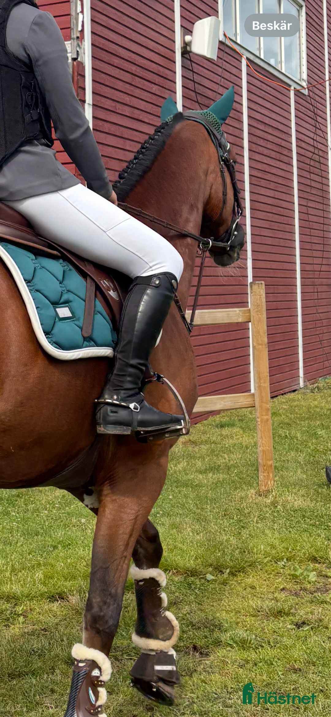 Ridstövlar ryttarutrustning till salu: Parlanti ridstövlar - Annons 6