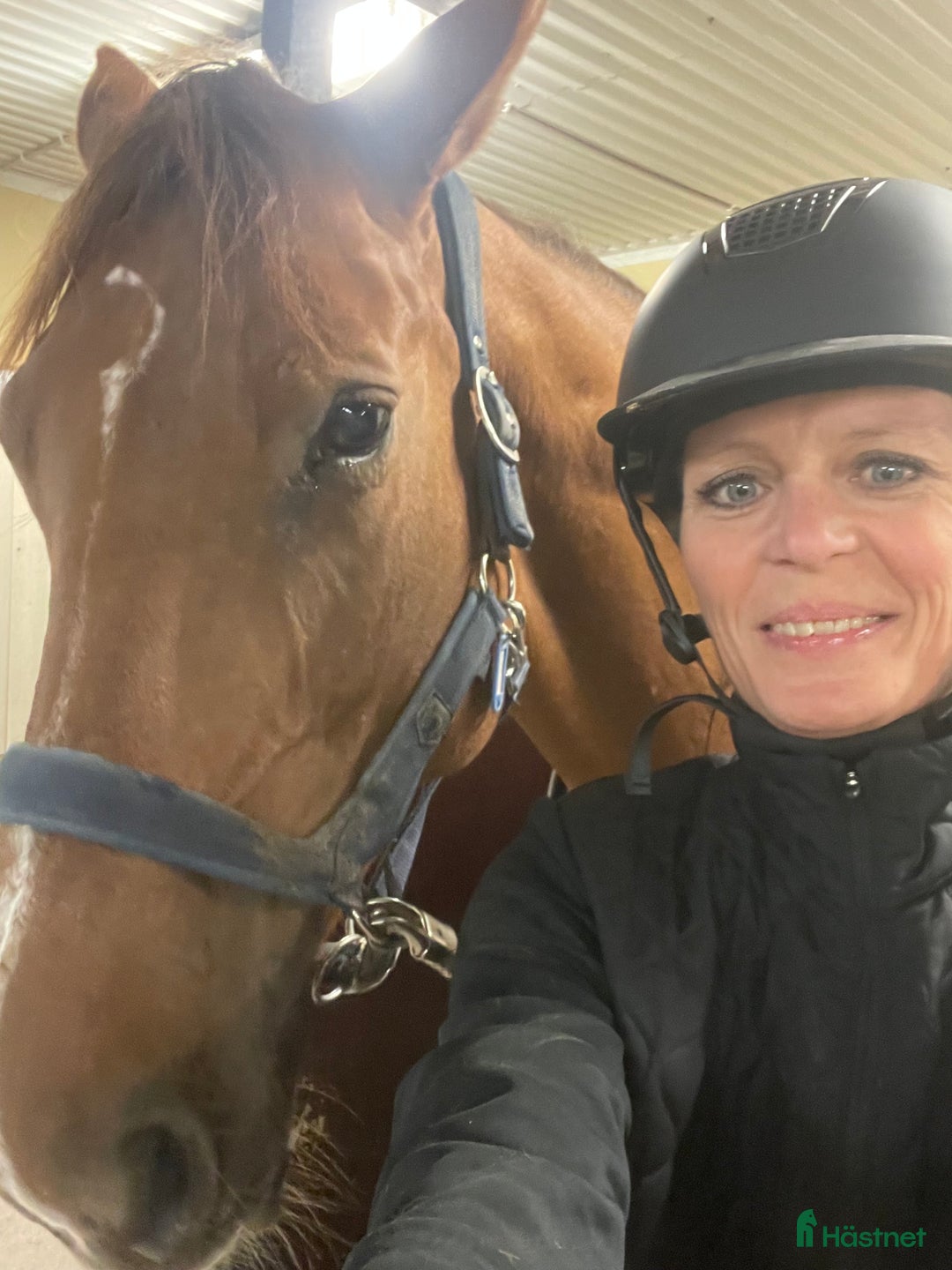  medryttarhäst sökes: Mamma och dotter söker medryttarhäst - Annons 1