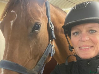 medryttarhäst sökes: Mamma och dotter söker medryttarhäst - Annons 1