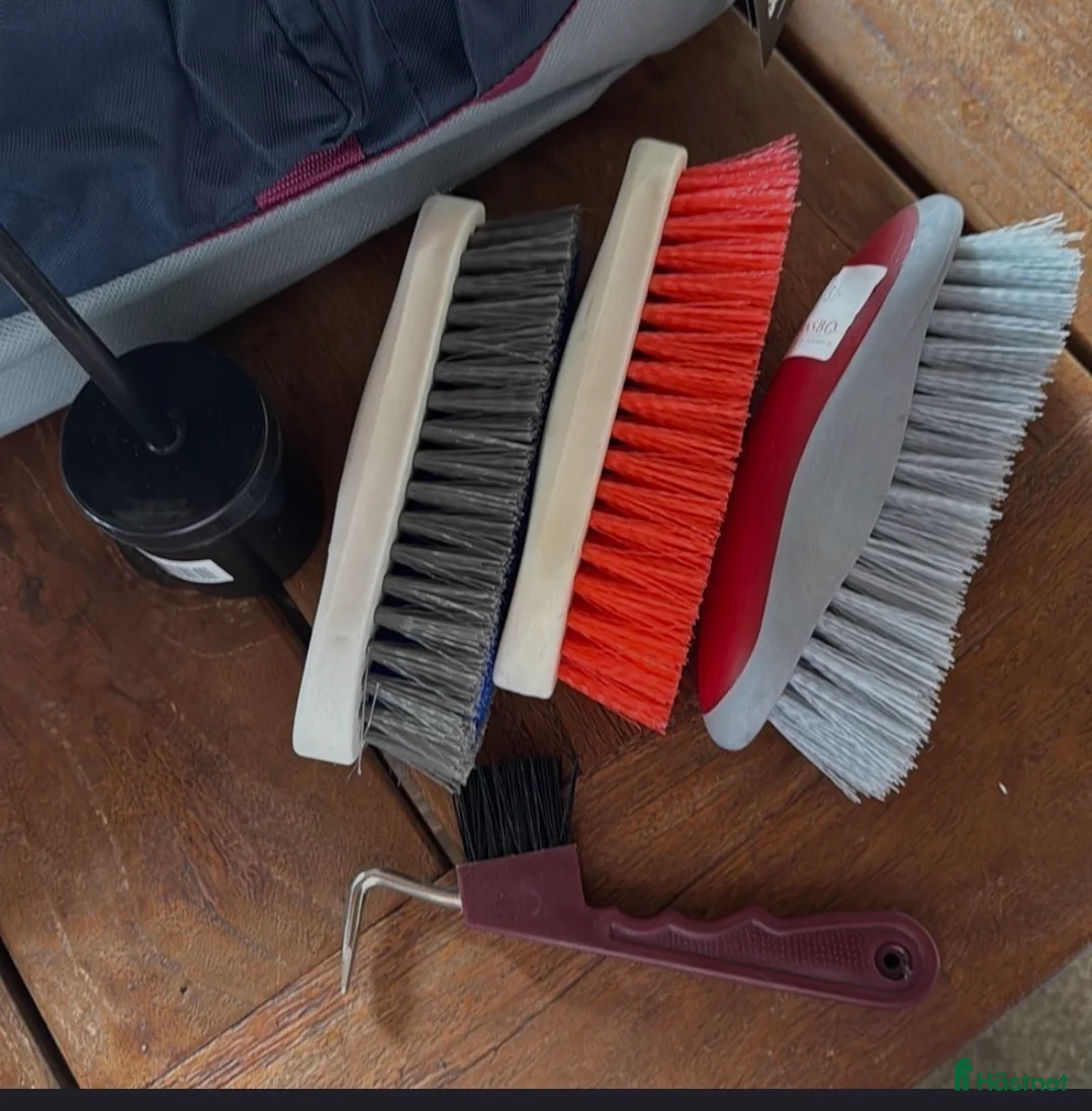 Övrig Hästutrustning hästutrustning till salu: Nyvaror! Ryktväsks med borstar i Torsåker - Annons 4