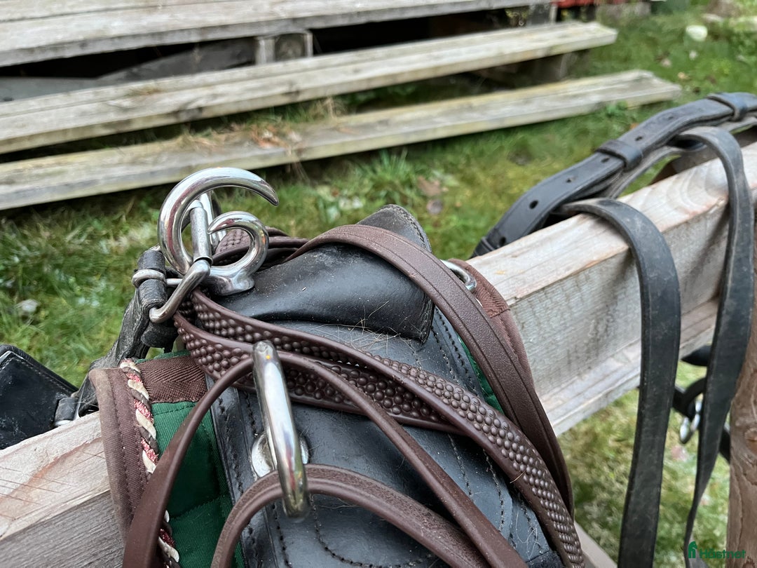 Körselar körning till salu: Maratonsele med fransk brösta storlek Shire i Västra Ämtervik - Annons 3