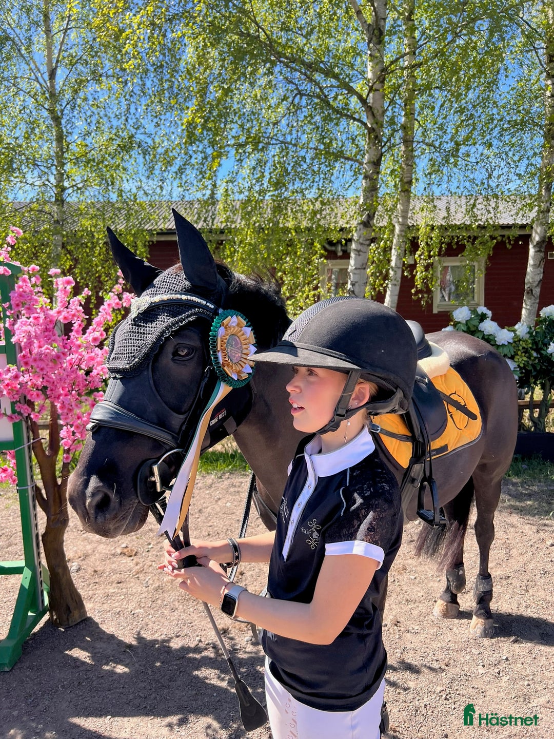 Hoppning hästar till salu: Fantastisk läromästare 🩵😇💫 i Åkersberga - Annons 3