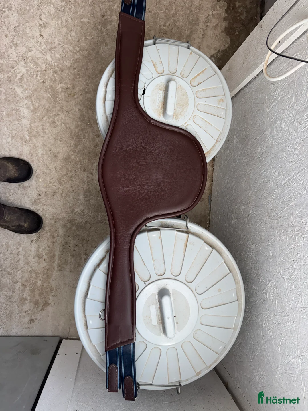 Sadeltillbehör hästutrustning till salu: Equality Line - Annons 2